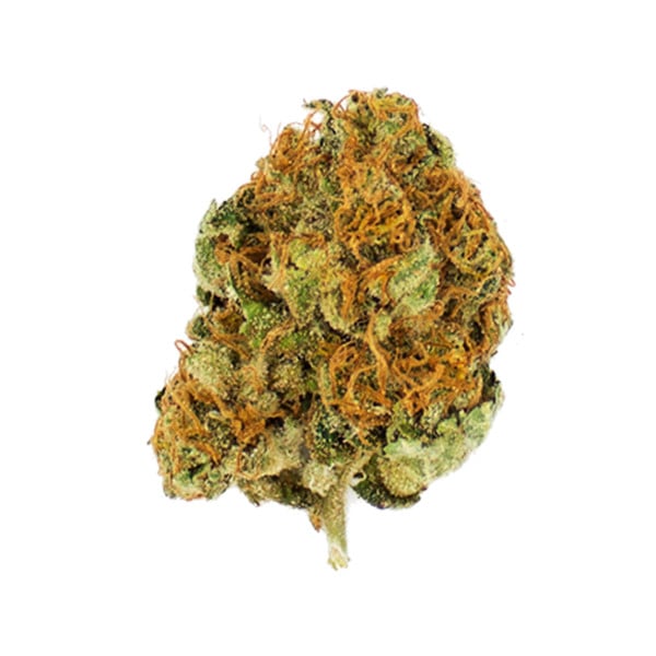 Royal Queen Seeds Cannabis Seeds Royal Moby Feminized