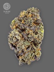 The Bulldog Seeds TB Gelato Auto, 3 and 5 pcs