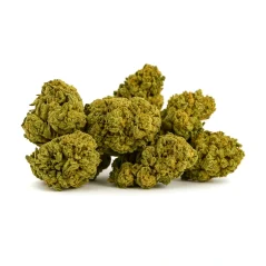 Flores de Invernadero Small Buds, 10 g - 100 g