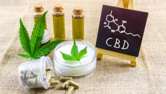 Vollständiger Leitfaden zur CBD-Extraktion (CO2, Olivenöl, Lösungsmittel)