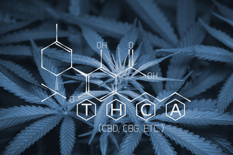 Tetrahydrocannabinol THCA chemische Formel