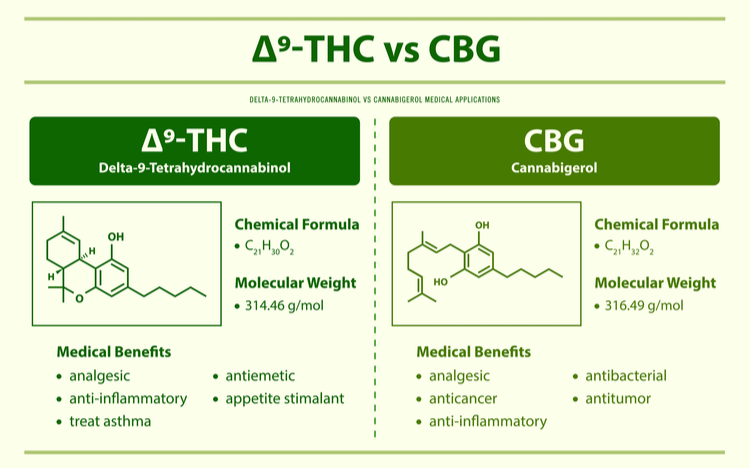 Infografika znázorňující rozdíly mezi THC a CBG