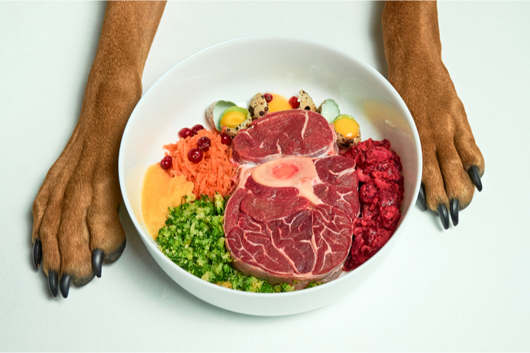 Dog bowl with food