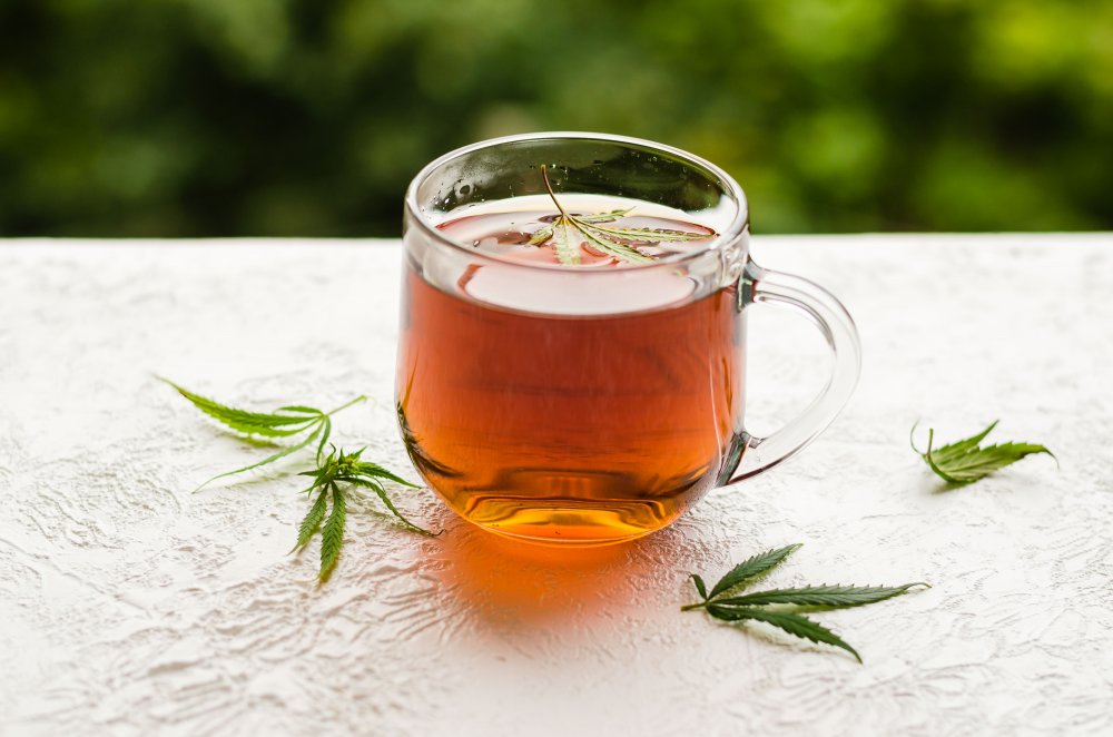 A glass mug with hot hemp tea decorated with hemp leaves – a symbol of natural well-being, warmth, and healthy relaxation.