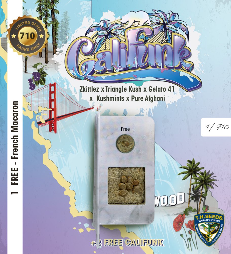 T.H.Seeds™ Cannabis Seeds CaliFunk, rôzne balenie, feminizované 2 ks