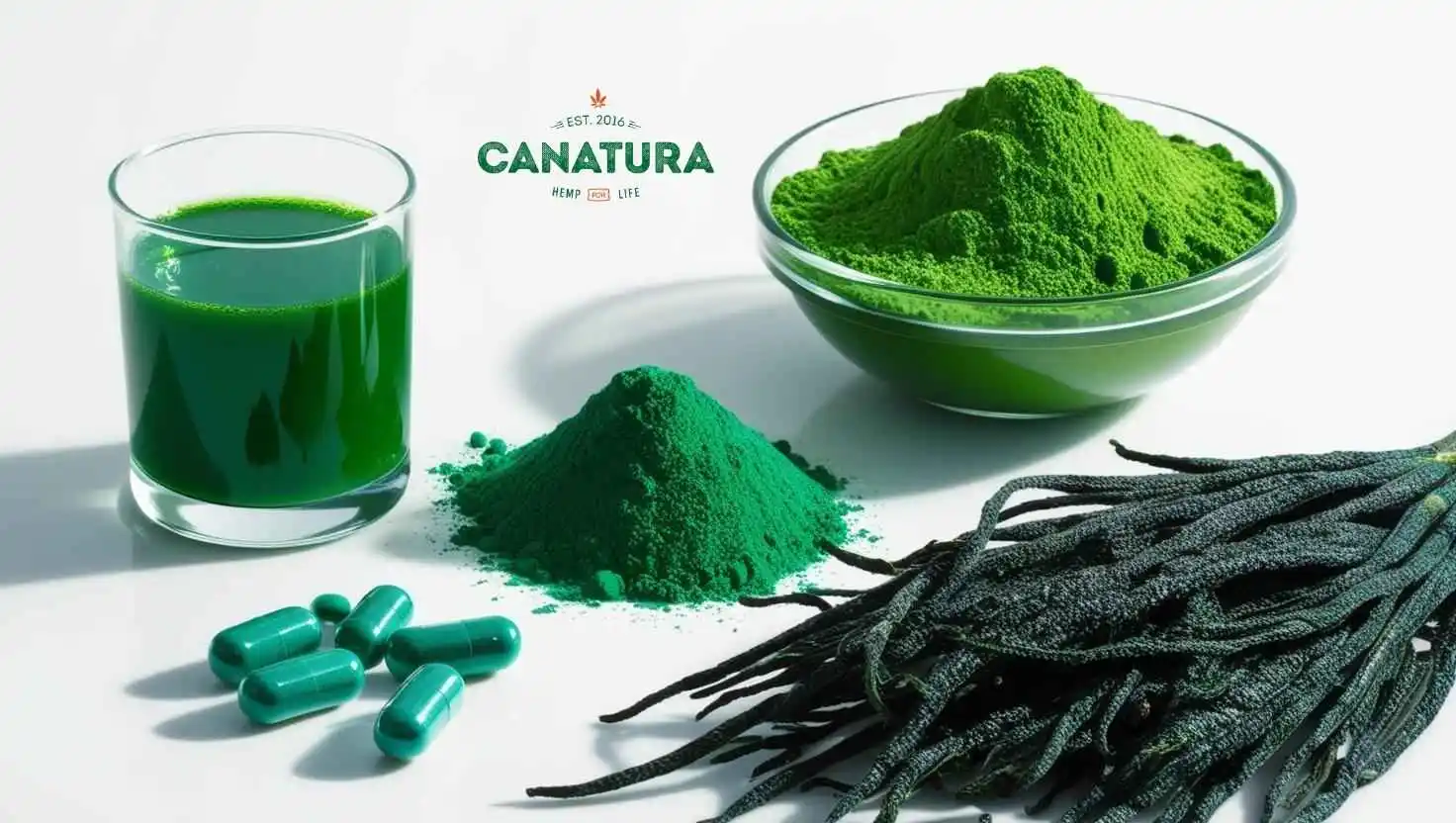 Spirulina, whose main effects include supporting immunity and vitality, in drink, tablet, powder and raw form
