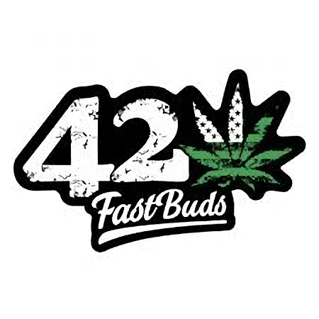 Fast Buds Cannabis Seeds Orange President Auto 5 ks