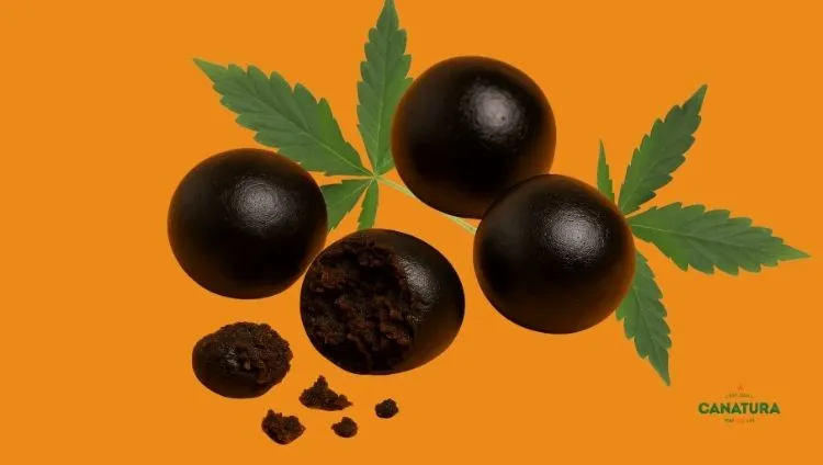 Pakistan hash in the shape of balls, cannabis leaves on an orange background, Canatura logo at the bottom right