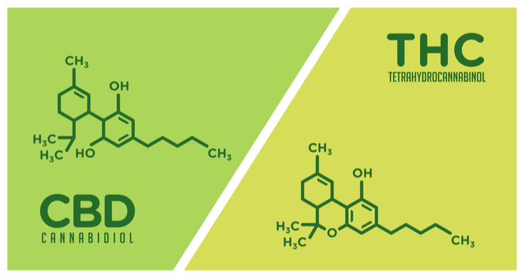 Diagram showing the chemical structures of Cannabidiol (CBD) on the left and Tetrahydrocannabinol (THC) on the right, illustrating the differences between the two compounds.