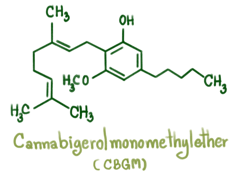Cannabigerolmonomethylether CBGM
