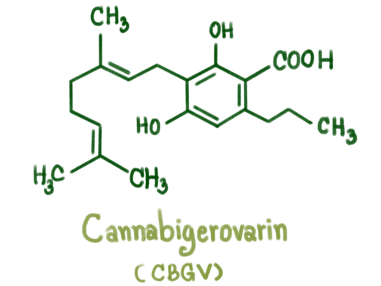 Cannabigerovarin CBGV