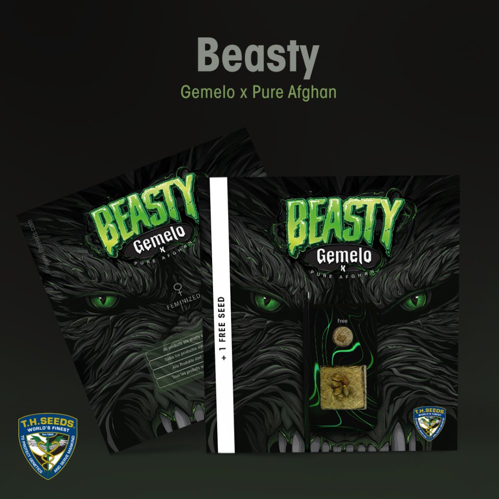 T.H.Seeds™ Cannabis Seeds Beasty, rôzne balenie, feminizované 2 ks