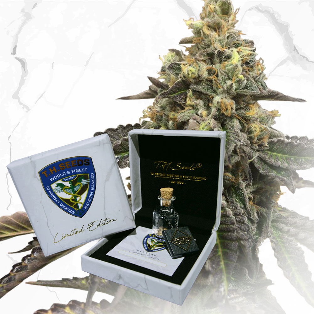 T.H.Seeds™ Cannabiszaden Limited Regular Edition French Cookies X Birthday Cake X SBC, 11-pack