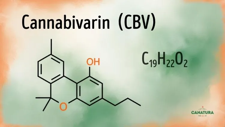 Cannabivarin C19H22O2