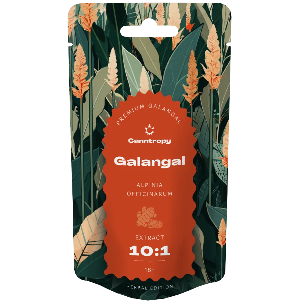 Canntropy Galangal (Alpinia officinarum), Extract 10:1, 10 - 100 g