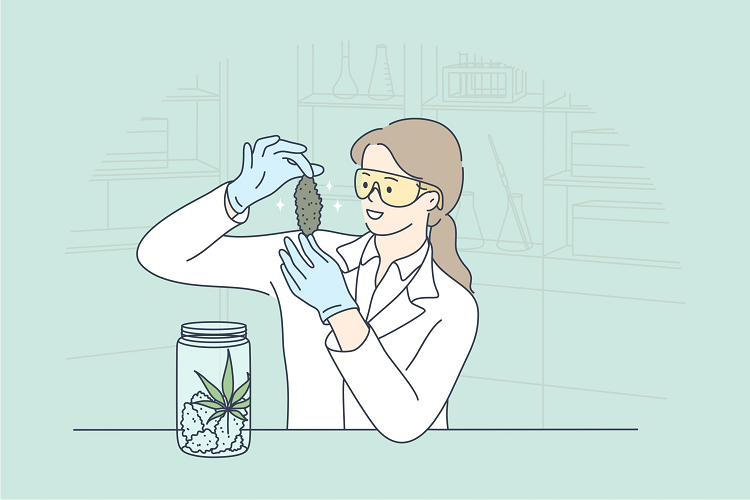 Illustration showing a woman examining a flower 10-OH-HHCP