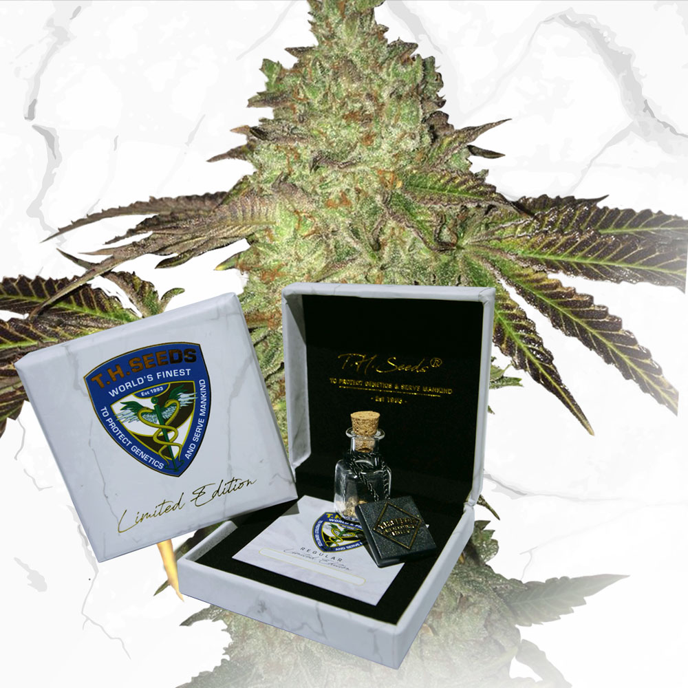 T.H.Seeds™ Cannabiszaden Limited Regular Edition Verjaardagstaart X Verjaardagstaart X SBC, 11-pack