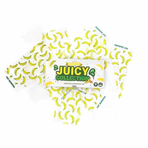 Royal Queen Seeds Potlačený organický rolovací papier, 110x54 mm Banán
