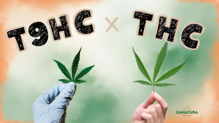 The text ‘T9HC vs. THC’, with a gloved hand holding a cannabis leaf on the left and a bare hand holding a cannabis leaf on the right