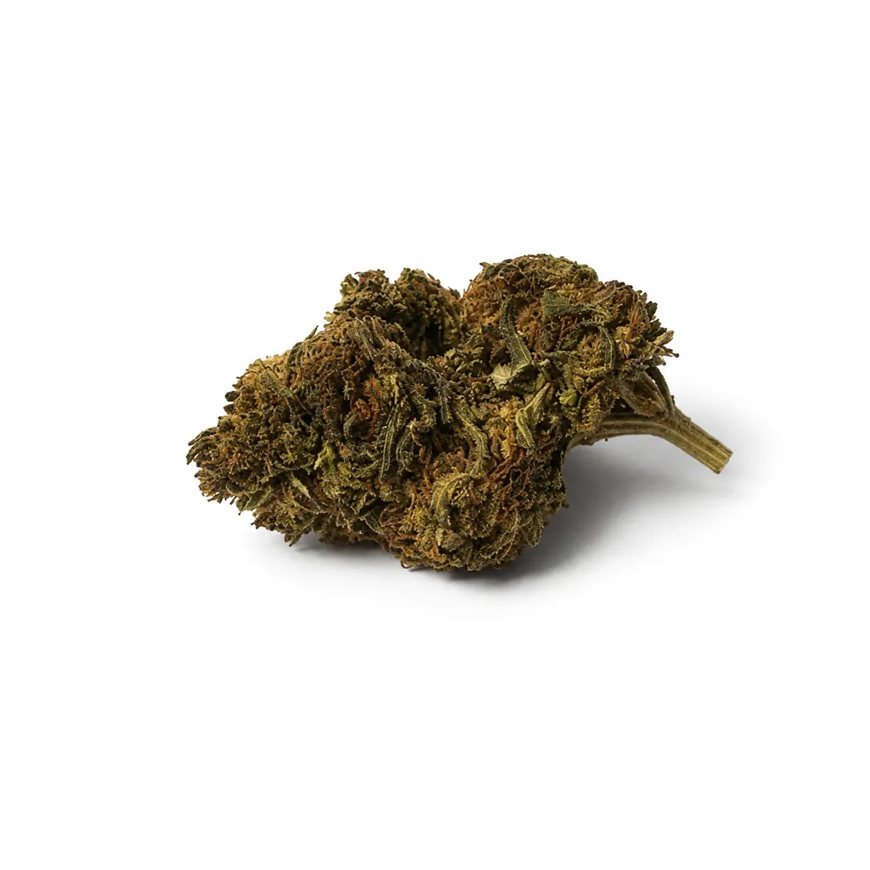CBD cvet Royal OG 12 % 1