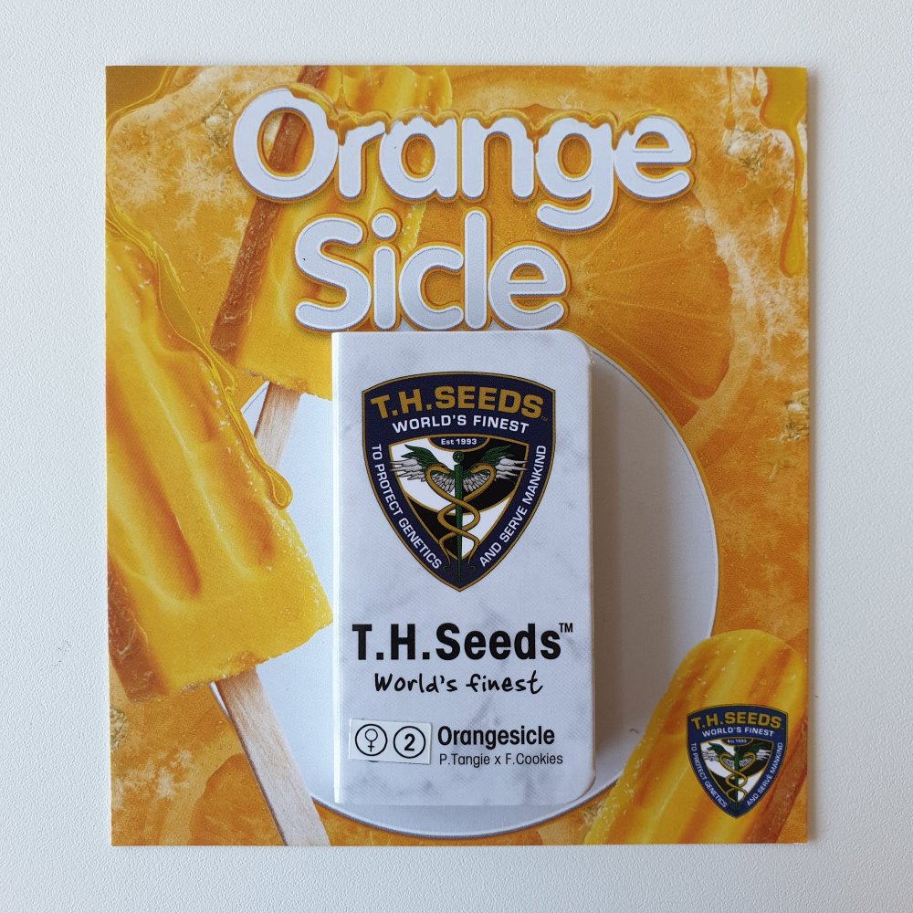 T.H.Seeds™ Semená kanabisu Orangesicle, rôzne balenie, feminizované 2 ks