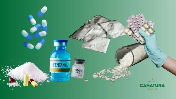 Synthetic opioids in various forms: powder, tablets, capsules, and injectable solution Fentanyl