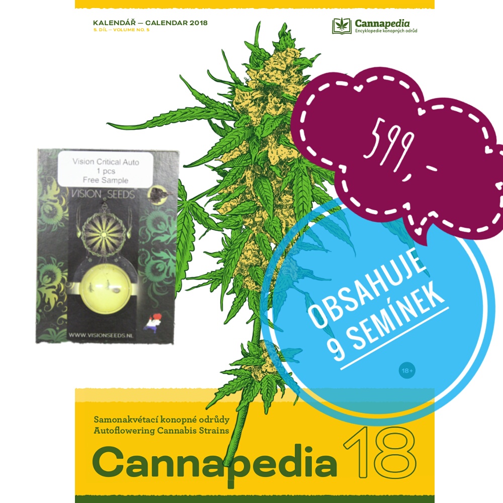 Kalendář 2018 – Samonakvétací + 5 x Vision Critical Auto