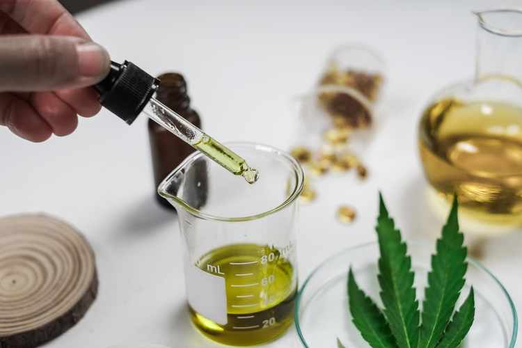 A dropper filled with CBD oil drips CBD oil into a beaker.
