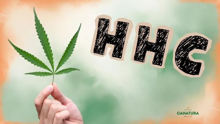 What is HHC? On the left, a hand holding a cannabis leaf; on the right, the word ‘HHC’; at the bottom right, the Canatura logo