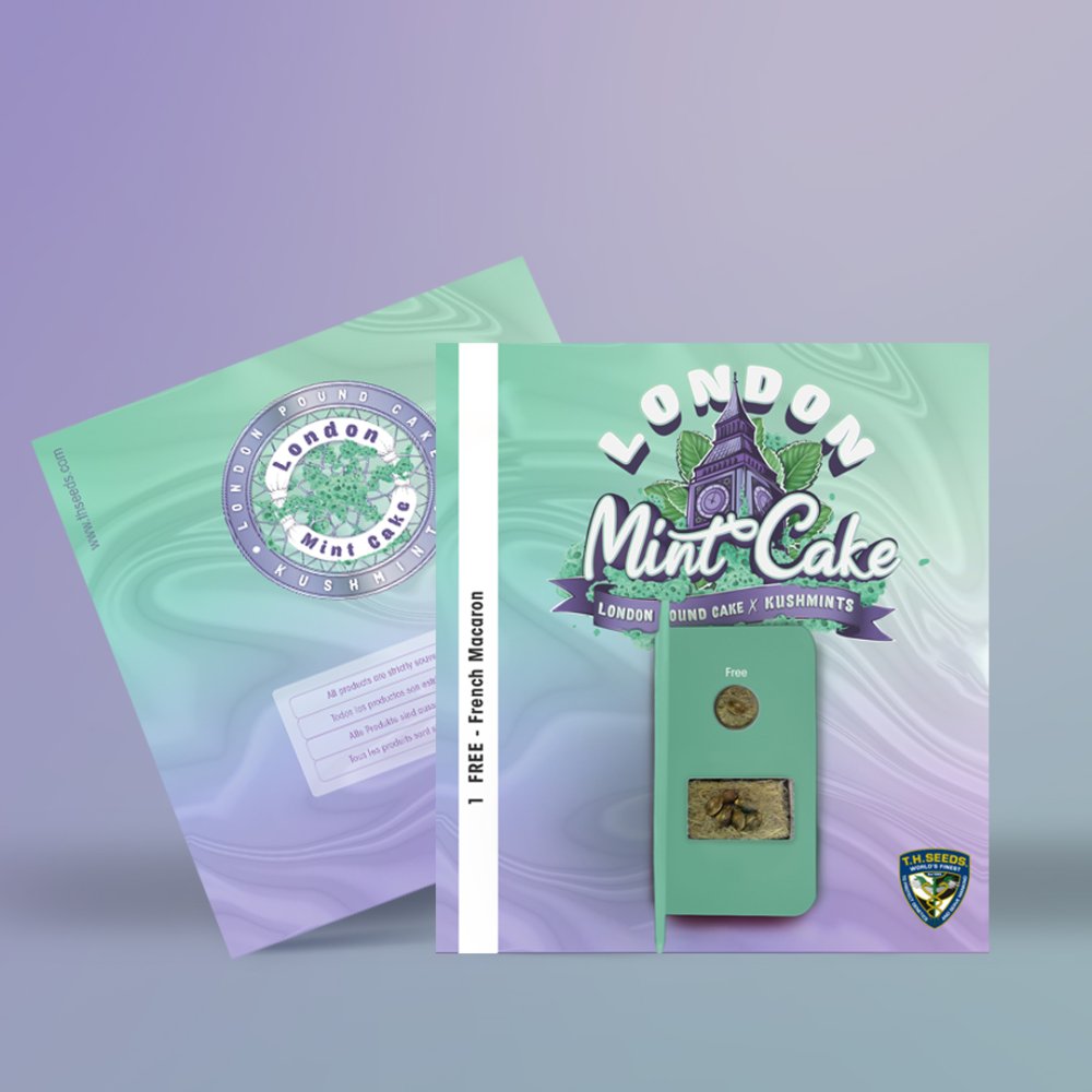T.H.Seeds™ Cannabis Seeds London Mint Cake, rôzne balenie, feminizované 6+1 ks