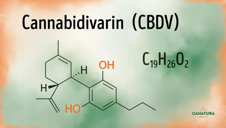 Cannabidivarin C19H26O2