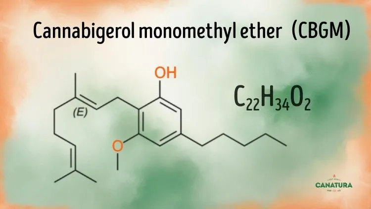 Cannabigerolmonomethylether CBGM
