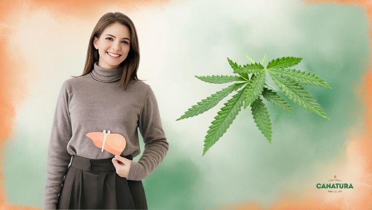 Woman holding an infographic of the liver, next to a cannabis leaf and the inscription 11-OH-THC