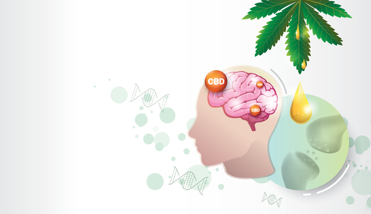 Face showing the release of CBD from cannabis into the brain