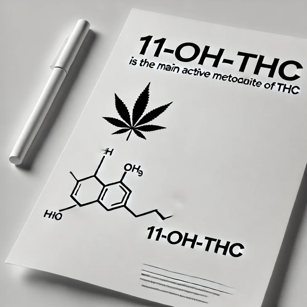 A paper on which is written: 11-OH-THC (11-hydroxy-THC) is the main active metabolite of THC, accompanied by a cannabis leaf and an illustration of the structure