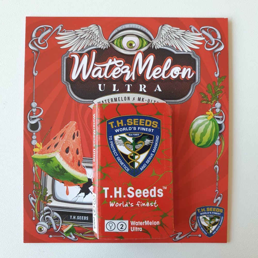 T.H.Seeds™ Cannabis Seeds WaterMelon Ultra, rôzne balenie, feminizované 2 ks