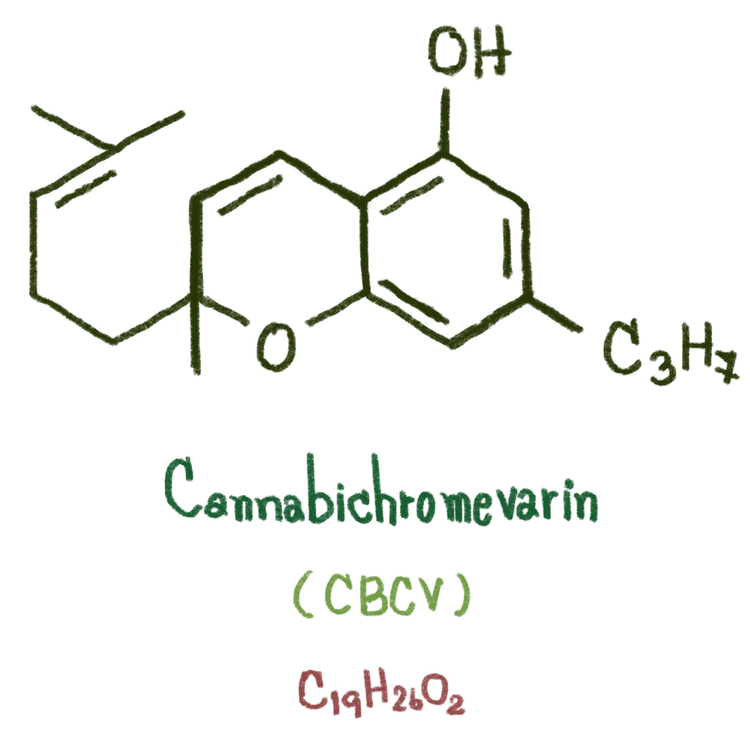Cannabichromevarin C19H26O2