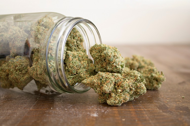 CBD flowers in a container