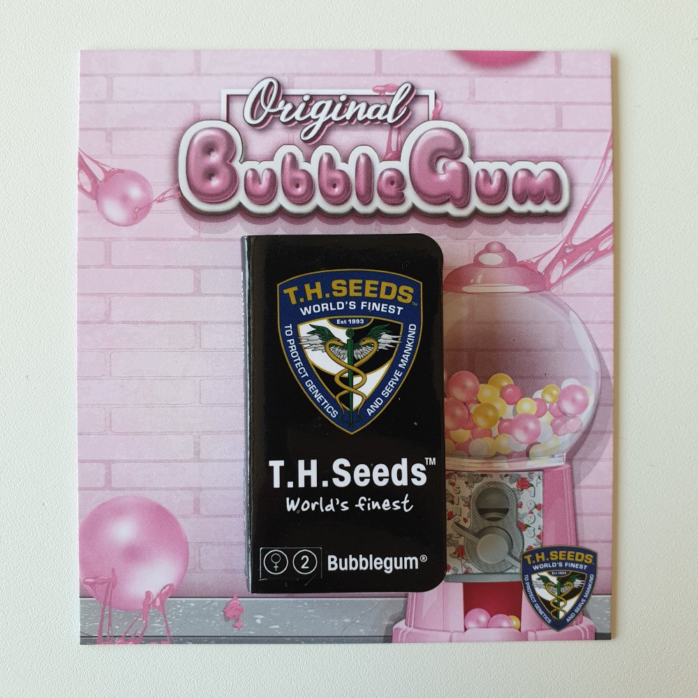 T.H.Seeds™ Žvýkačka zo semien kanabisu, rôzne balenie, feminizované 2 ks