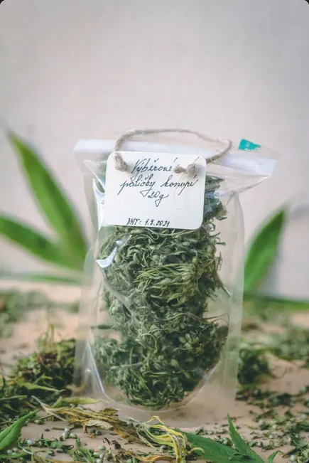 Dobré Konopí Konopná herba s CBD výběrové paličky 20 g
