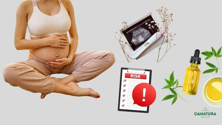 Pregnant woman in a meditative position with an ultrasound scan, a bottle of CBD oil, and a warning about the risks – cannabis, CBD, and the risks of use during pregnancy, with the Canatura logo in the bottom right corner