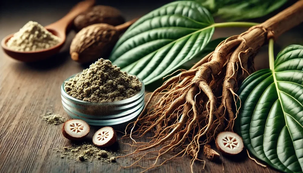 Kava kava in the form of powder from the root, which has a sedative and relaxing effect.