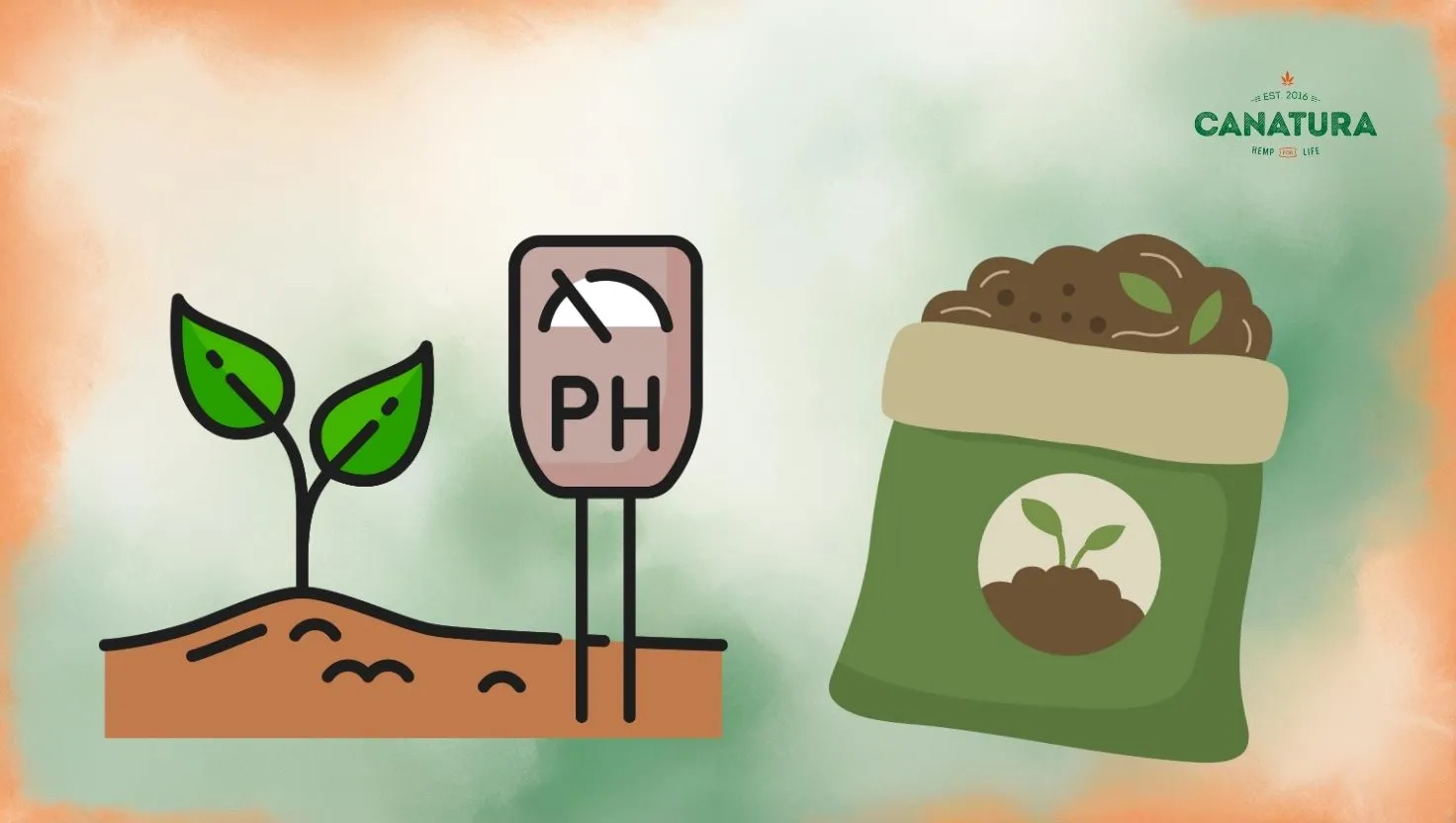Illustration of ideal soil for growing cannabis – a young plant in soil, a pH meter for checking soil acidity, and a bag of organic substrate