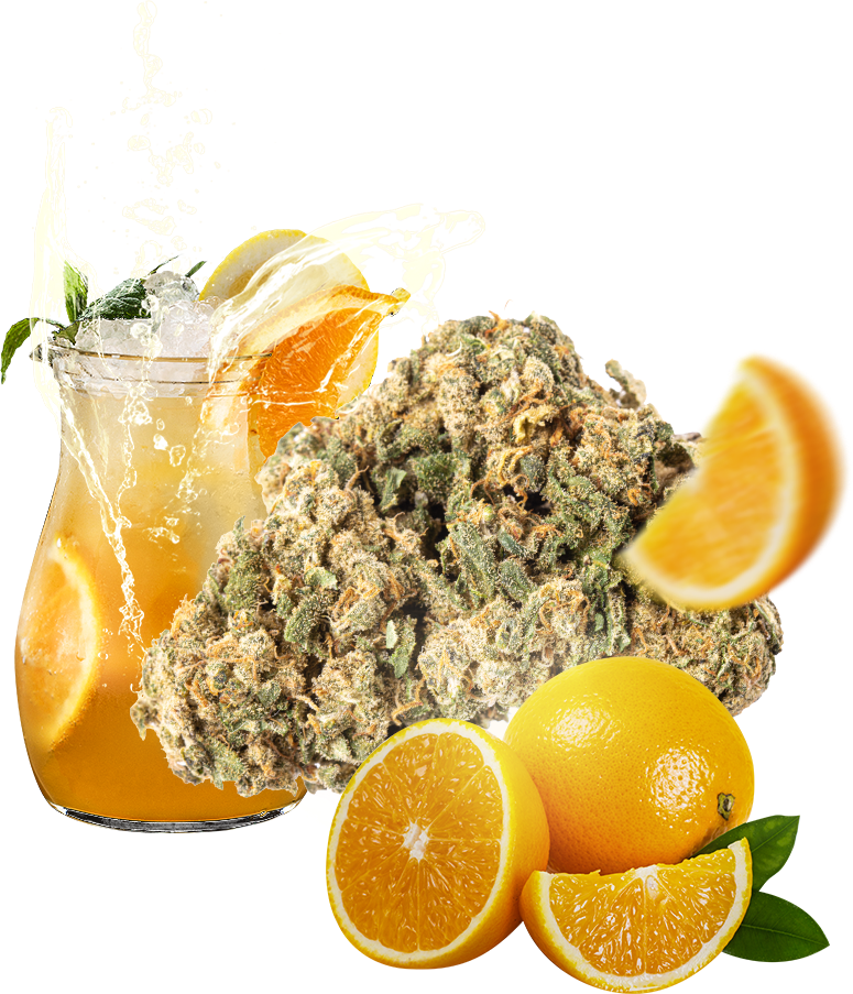 Eighty8 CBD-hennep bloem Limonade -1 tot 25 gram