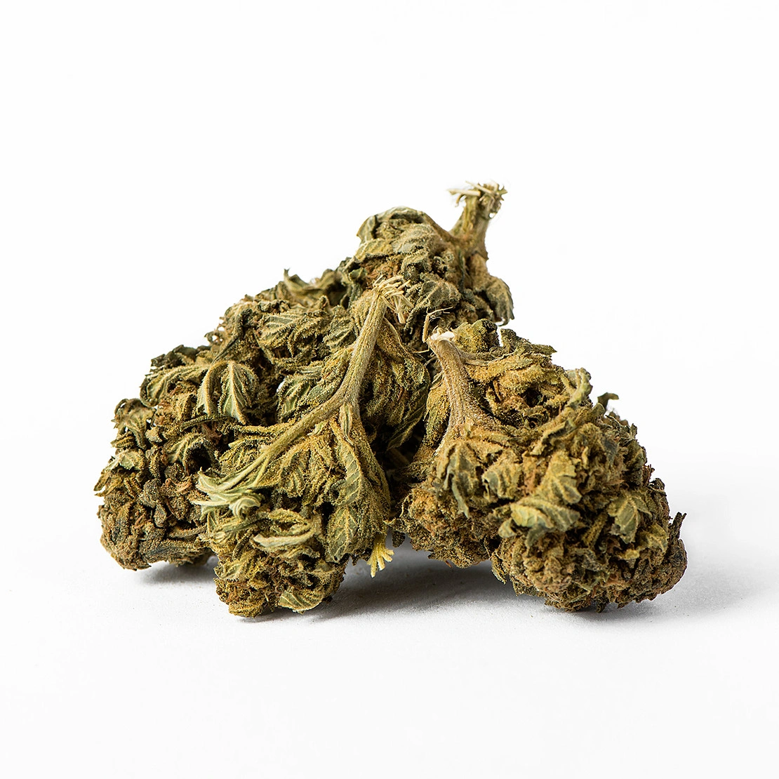 Euphoria CBD burina Euphoria citrónová, 100 g