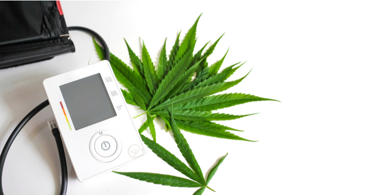 Blood pressure monitor and cannabis leaves