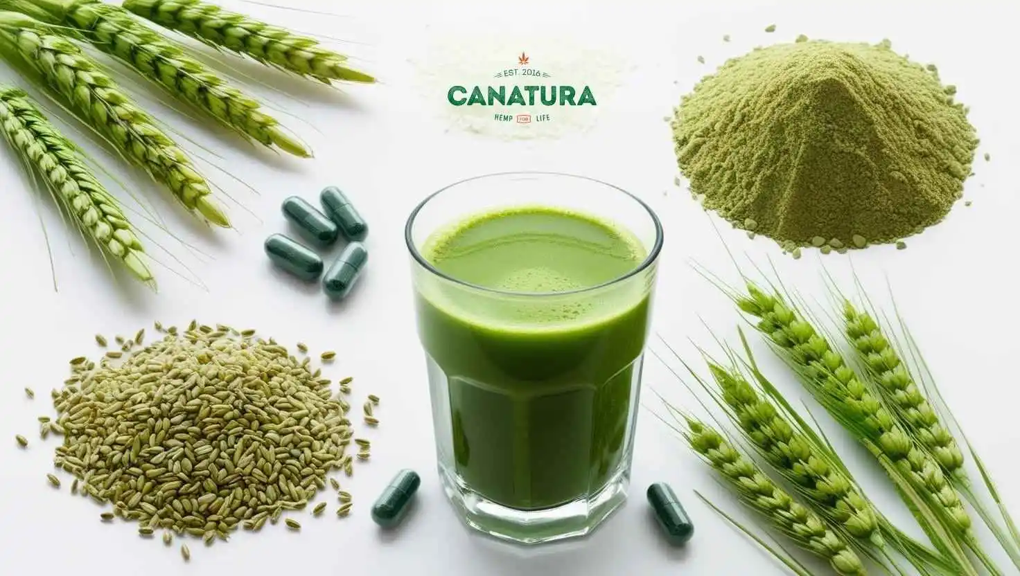 Green barley in its raw form, in drink, tablet and powder form