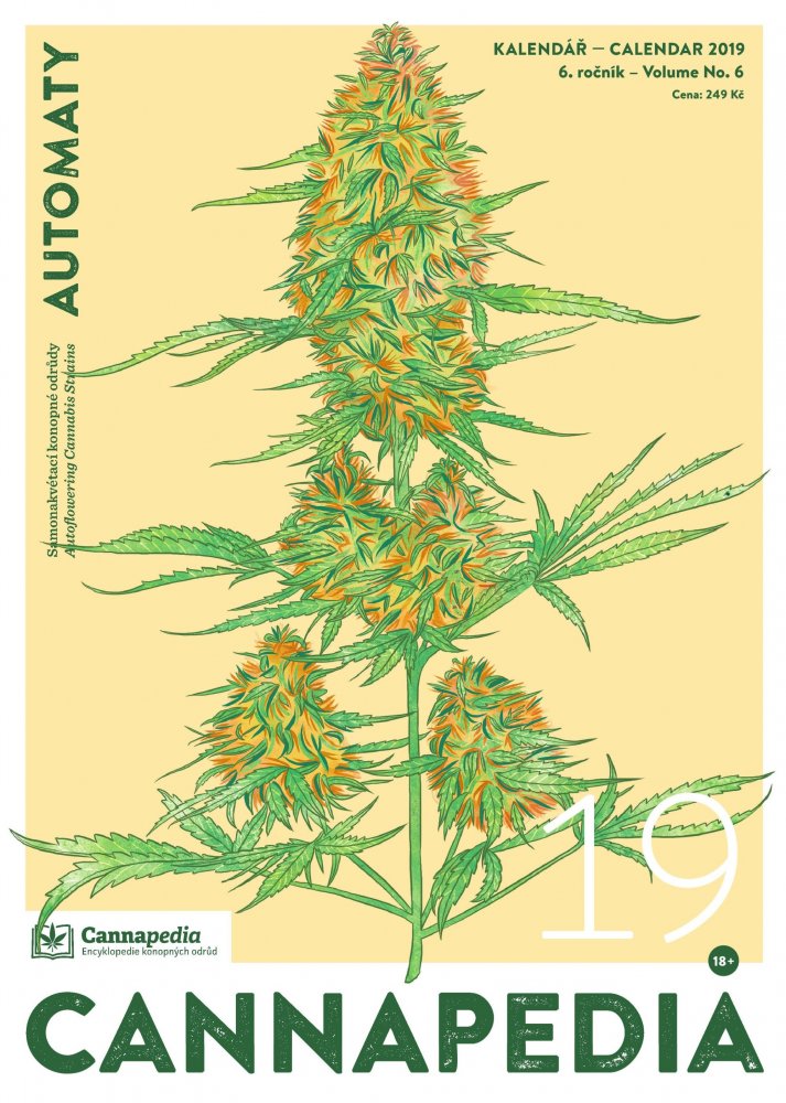 Kalendář 2019 – Samonakvétačky + 5 x Spliff Cheese Auto