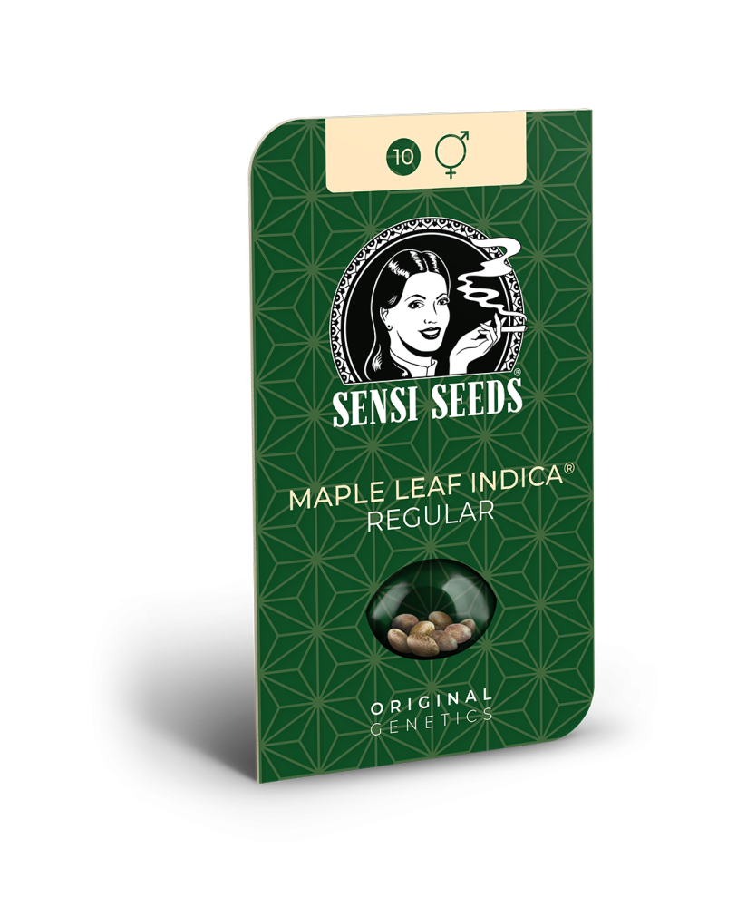 Sensi Seeds Semená kanabisu Maple Leaf Indica® Regular, 10 ks