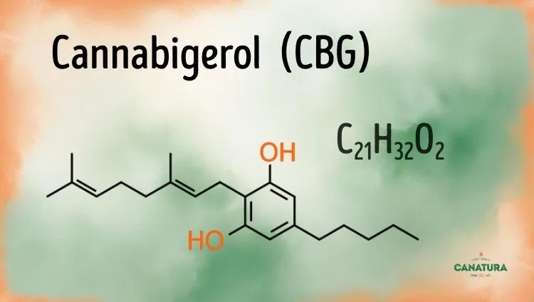 Cannabigerol C21H32O2